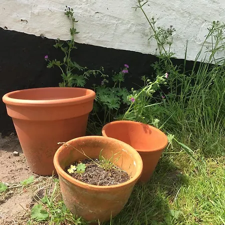 Skovhuset Ferienhaus