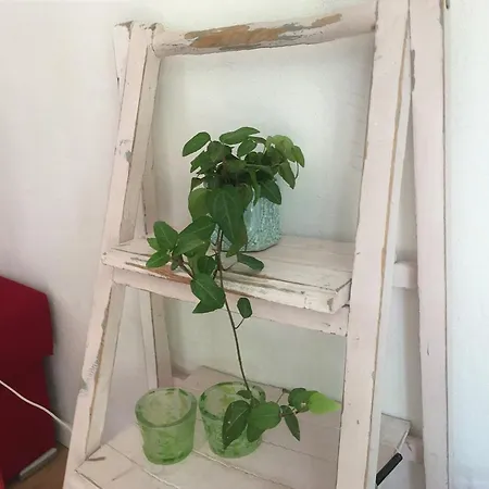 Skovhuset Ferienhaus