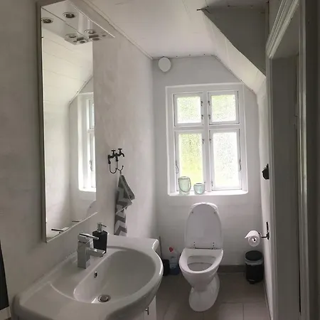 Ferienhaus Skovhuset