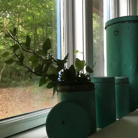 Skovhuset Hébergement de vacances