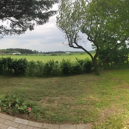 Skovhuset Ferienhaus